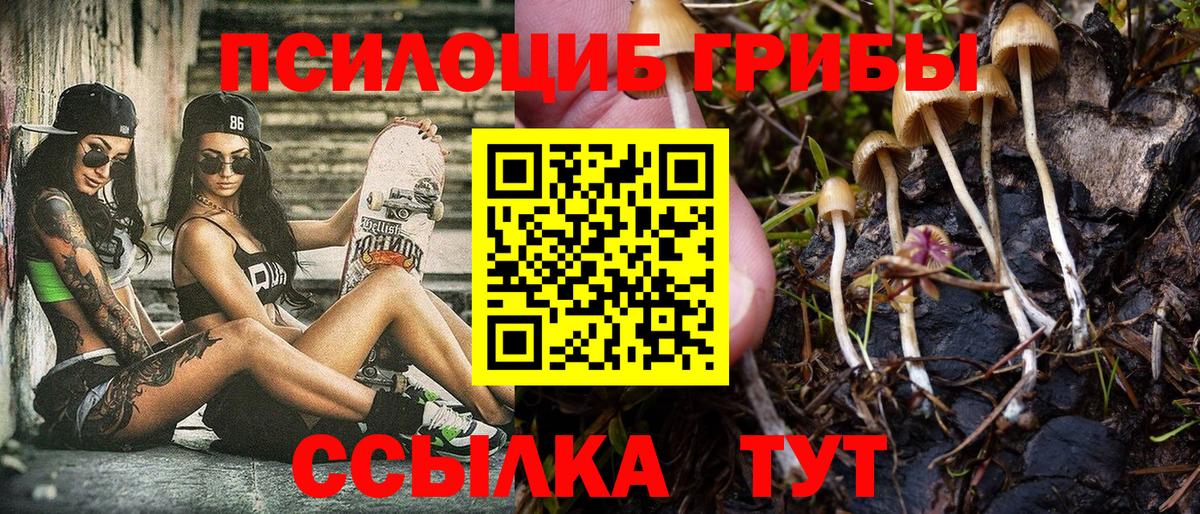 Псилоцибиновые грибы Psilocybine cubensis  Вход с VPN  Ртищево 
